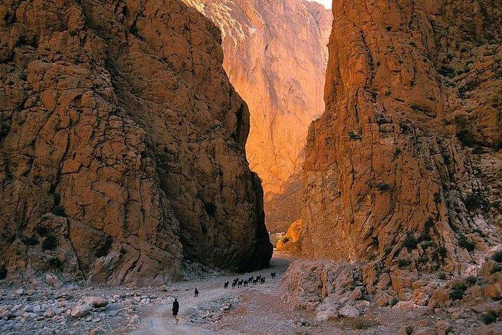 Sahara Desert Tour Fez til Marrakech (3 dage 2 nætter)