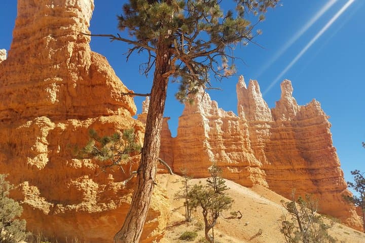 Small Group Bryce Canyon & Zion National Park Tour from Las Vegas