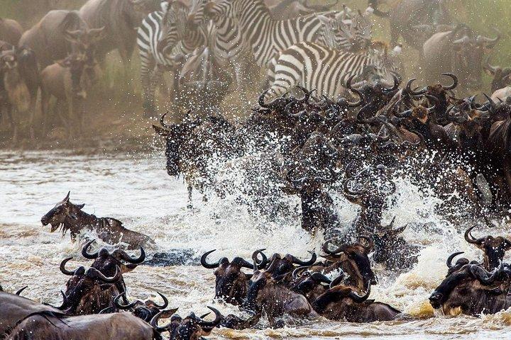 Il meglio di 11 giorni del Kenya e della Tanzania Big 5 Safari su una jeep 4x4