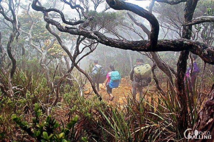 Klettersteig 2d1n Mount Kinabalu - Walk The Torq