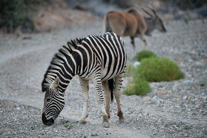 4 dagen Masai Mara en Lake Nakuru