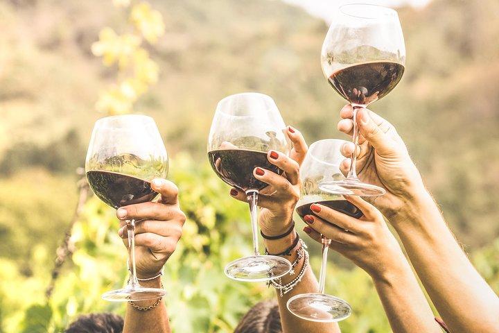 Degustación de vinos rumanos