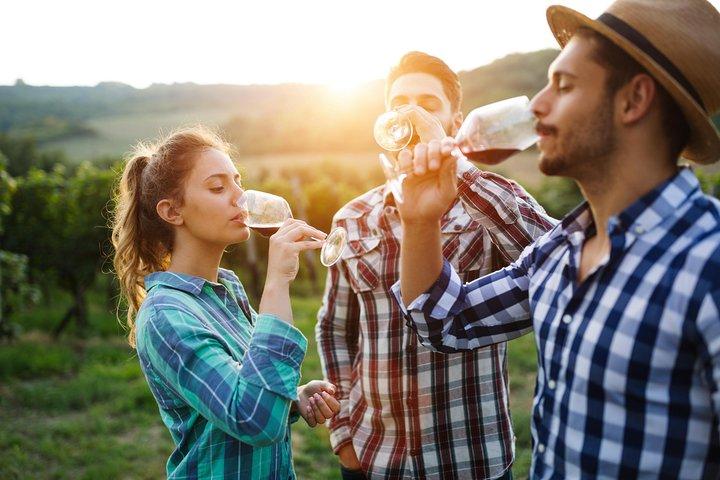Degustación de vinos rumanos