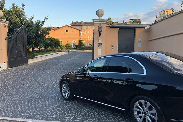 Rome Private Sightseeing Tour Driver + Car