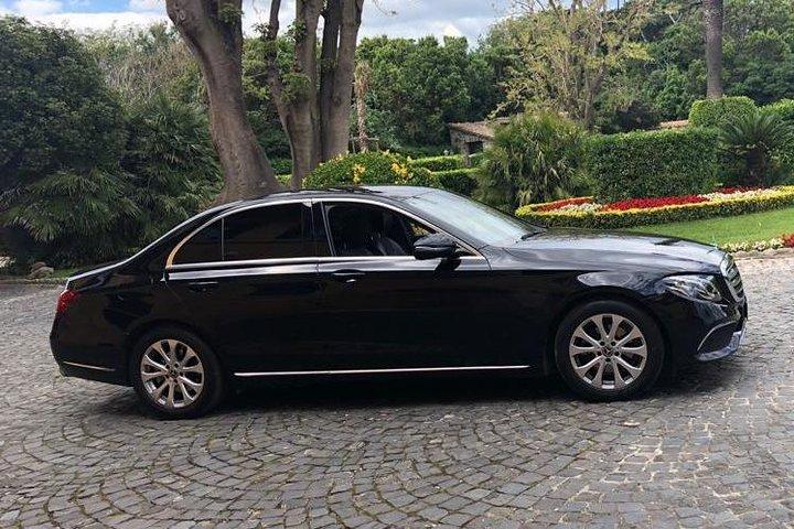 Rome Private Sightseeing Tour Driver + Car