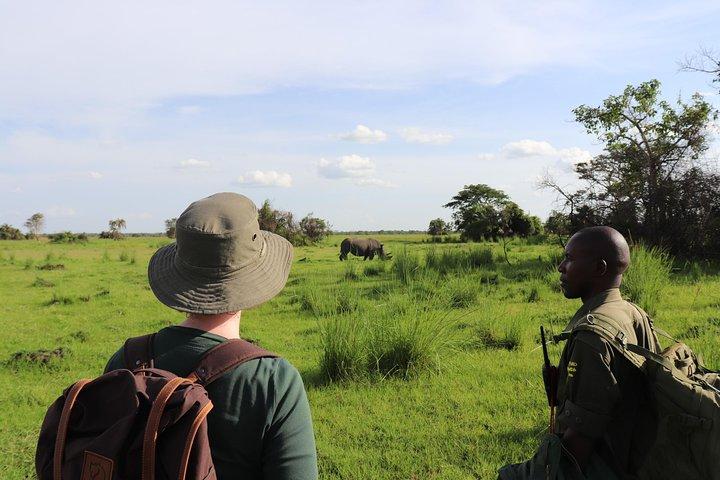 1 dia santuário ziwa Rhino