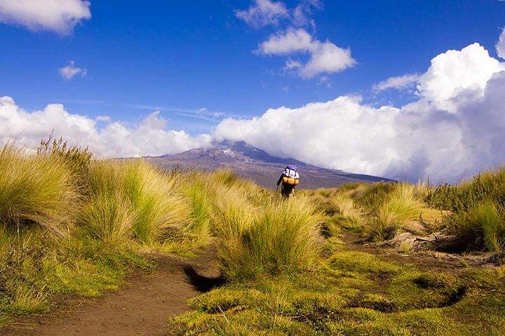 4-daagse trekking in Mount Kenya