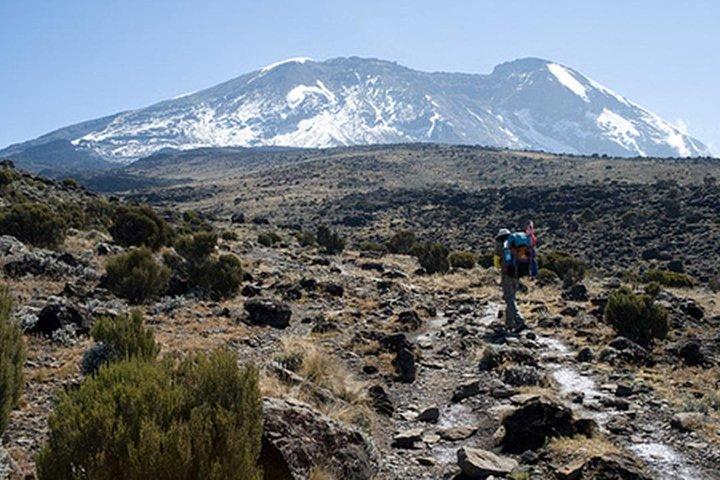 Trekking de 4 dias no Monte Quênia