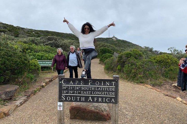 Excursion privée d'une journée à Cape Point, pingouins avec Table Mountain.