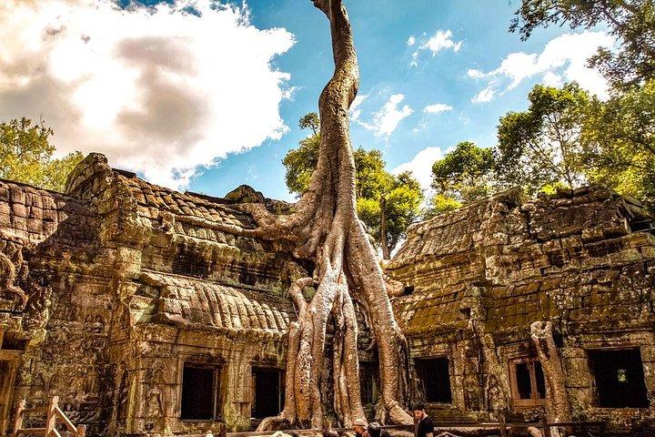 Private Angkor Wat Tour from Siem Reap