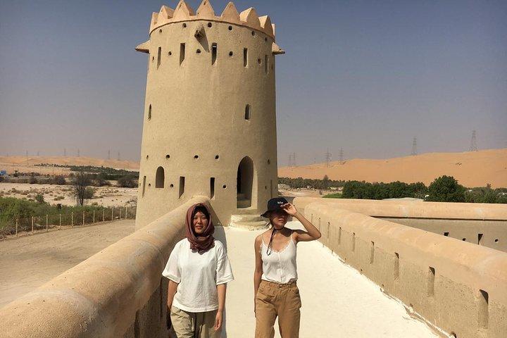 Excursion privée dans le désert avec Liwa et déjeuner à Abu Dhabi