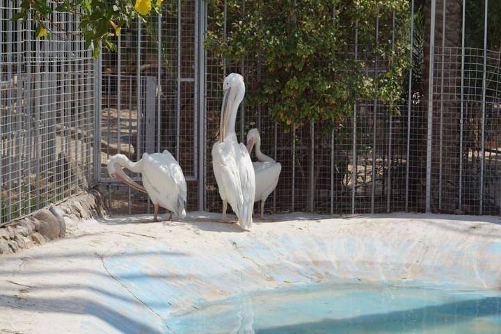 Grand Aquarium Hurghada