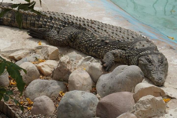Grand Aquarium Hurghada