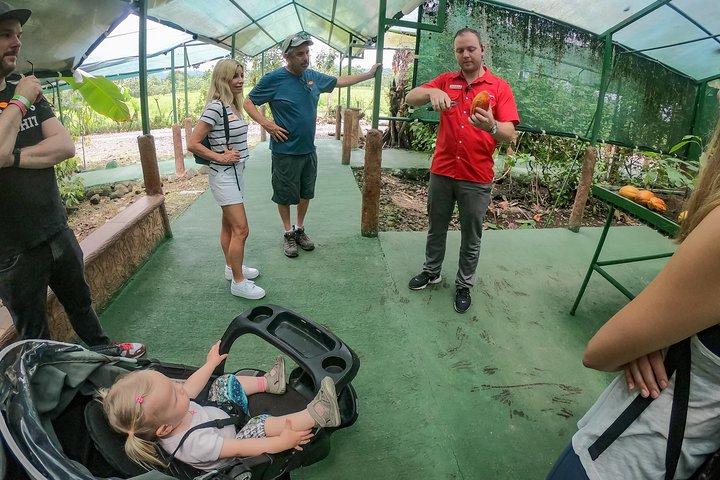 Kaffee- und Schokoladentour in La Fortuna