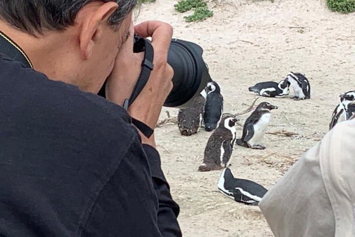 Penguins, Cape Point & Table Mountain.