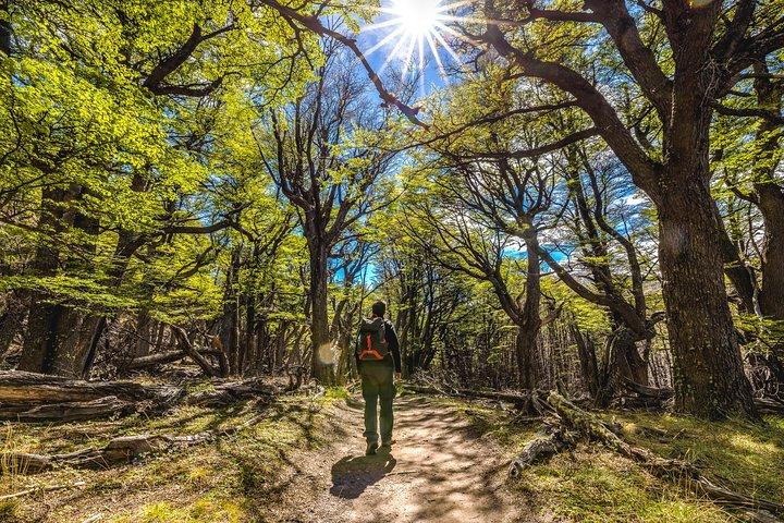 El Chaltén com Trekking de El Calafate