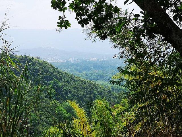 Visite privée - Cascade Piedecuesta (Randonnée / Trekking)