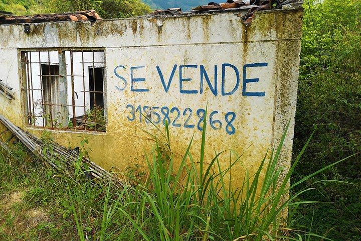 Visite privée - Cascade Piedecuesta (Randonnée / Trekking)