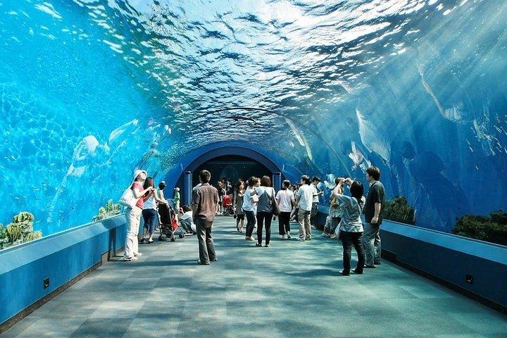 パタヤのアンダーウォーターワールド入場券