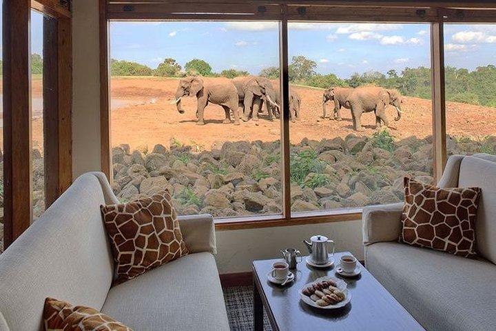 10 Days Special Kenya Safari