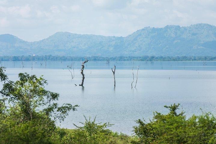 Jóias do Sri Lanka (16 dias)