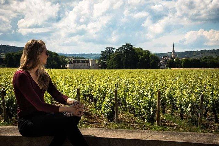 De Sirmione: Lugana Wine Experience