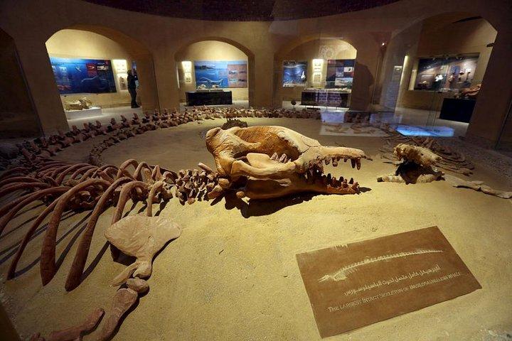 Fayoum oasis Whales valley & Waterfalls day tour