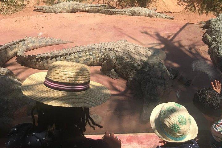 Agadir private day trip from marrakesh