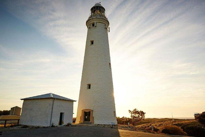 Circuit tout compris de l'île Rottnest à partir de Perth