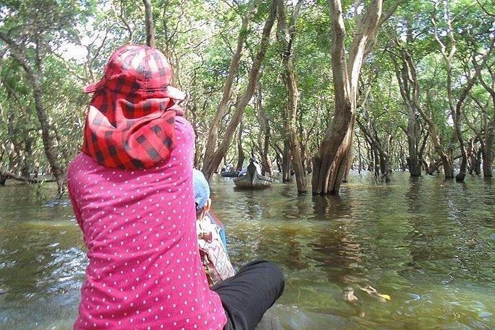 Kompong Phluk Mangroves & Stilt House Village