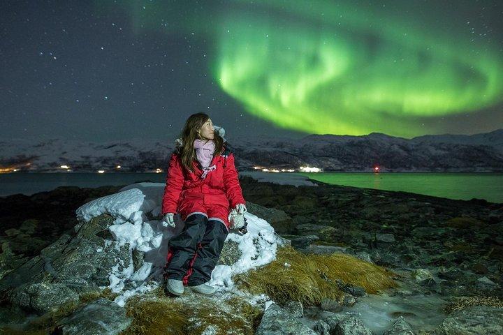 Tour dell'aurora boreale da Tromsø