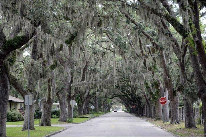 St. Augustine Hop-On Hop-Off Trolley Tour
