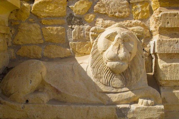 Fayoum oasis Whales valley & Waterfalls day tour