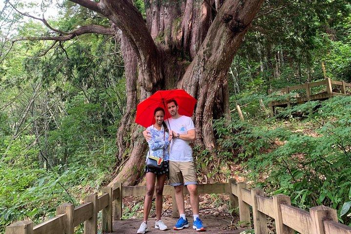 Hiking + Ropeway (special mountain view !)