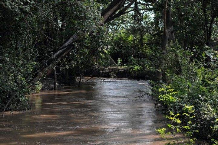 Awash National Park 2 dage 1night