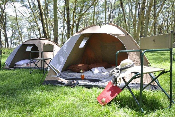 Safari di 7 giorni in Kenya