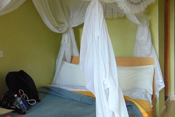 Safari di 7 giorni in Kenya
