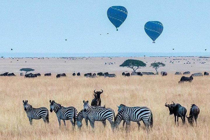 7 dage Masai Mara, Lake Naivasha, Lake Nakuru og Amboseli Safari i Kenya