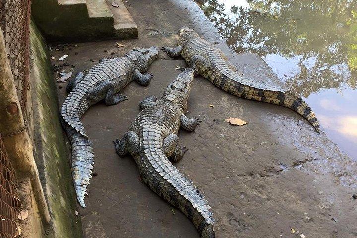 Cu Chi And Mekong Full Day Trip