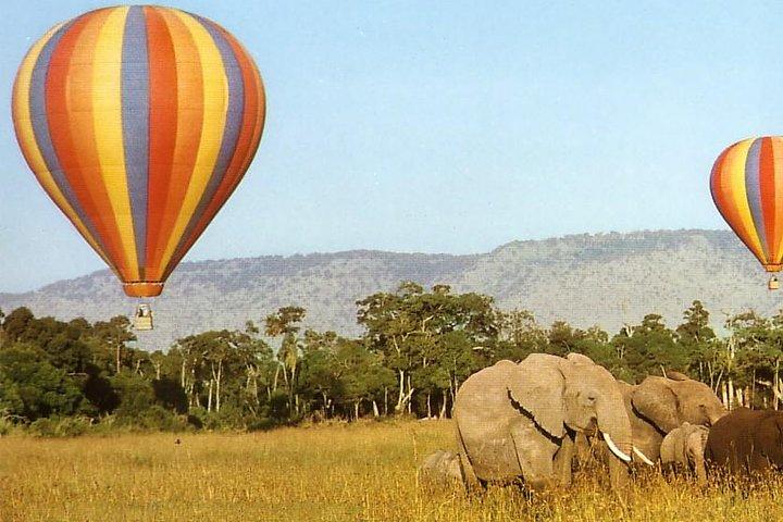 5日間マサイマラ、ナイバシャ湖、ナクル湖サファリ