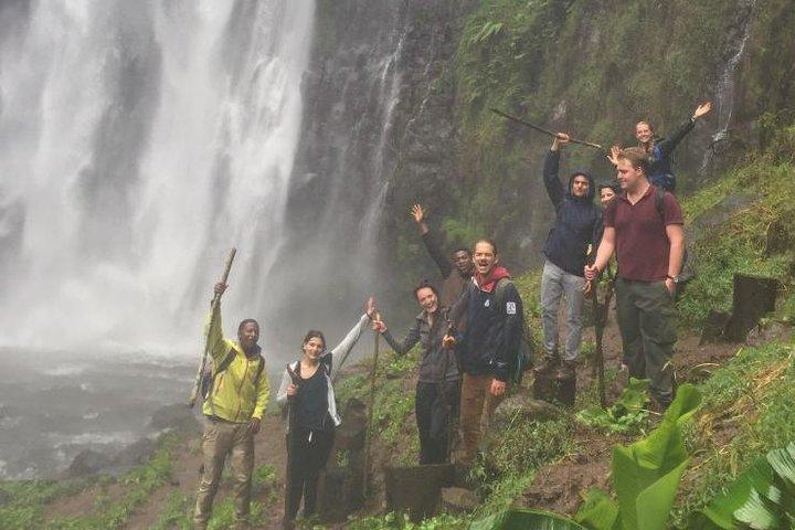 Excursion d'une journée aux cascades de Materuni et visite du café