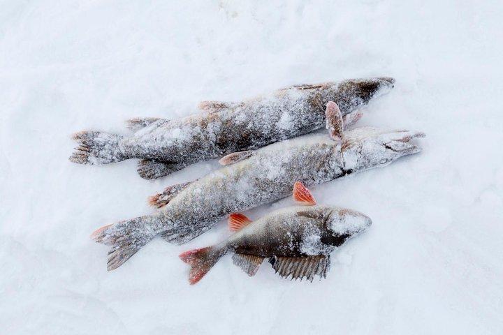Pesca en hielo en moto de nieve desde Levi, Finlandia