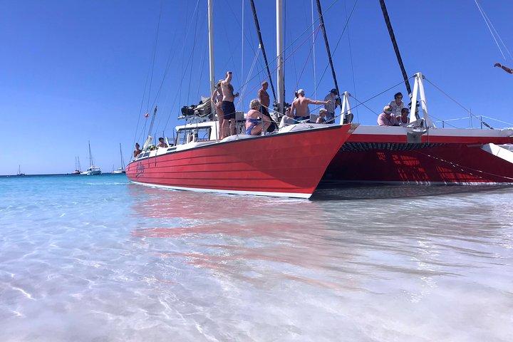 Crucero de buceo con tortuga catamarán y naufragio en Barbados