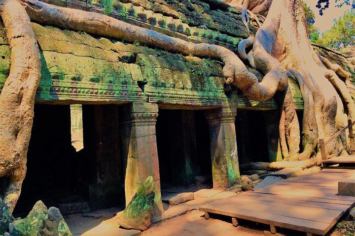 Tour privado de Angkor Wat desde Siem Reap