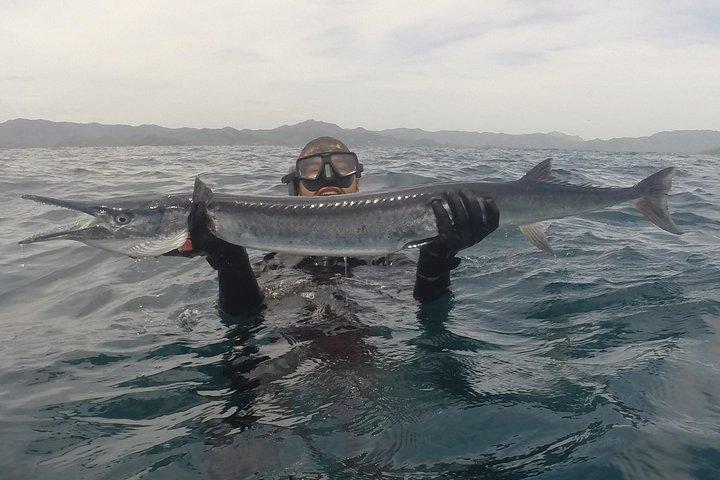Descubra o curso de caça submarina