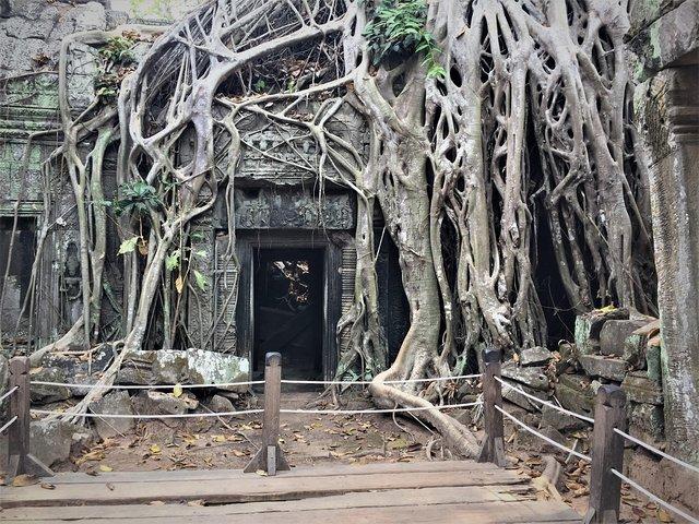 Tour privado de Angkor Wat desde Siem Reap
