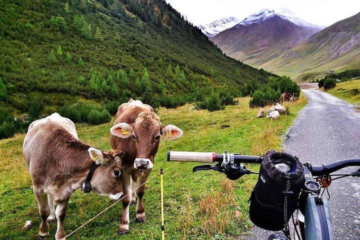 ルート66-マウンテンバイクのペダル
