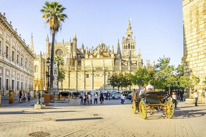 Sevilla-tur med Alcazar, katedralen och Giralda från Granada