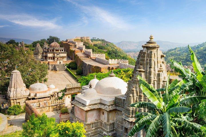 Kumbhalgarh-stier (guidet heldags sightseeingtur Udaipur)