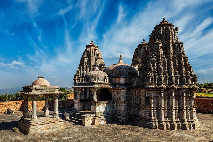 Kumbhalgarh-stier (guidet heldags sightseeingtur Udaipur)